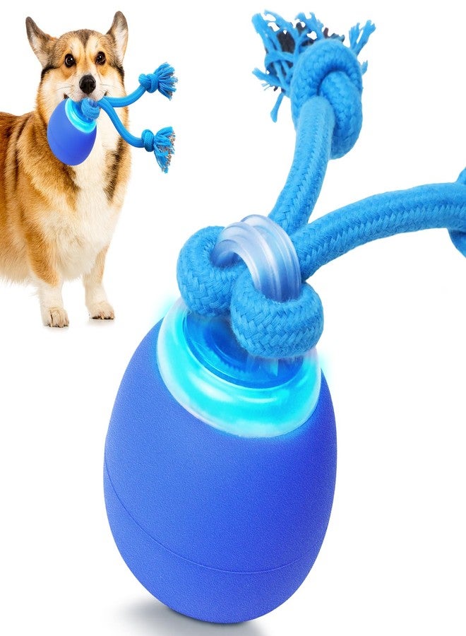 BENTOPAL Interactive Dog Toys to Keep Them Chase Busy Buddy Doggie Ball for Small Puppy(Blue) - Image 1